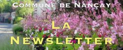 Newsletter