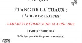 Lâcher de truites