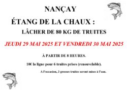 Lâcher de truites