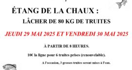 Lâcher de truites