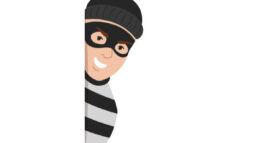 VIGILANCE CAMBRIOLEURS