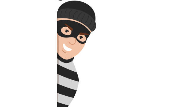 VIGILANCE CAMBRIOLEURS