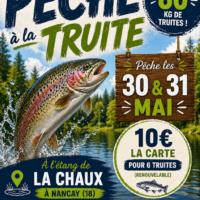Affiche pêche à la truite