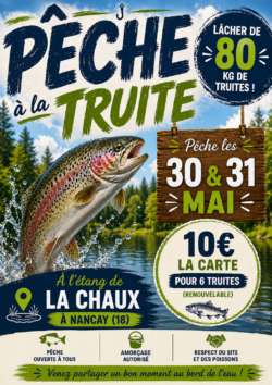 Affiche pêche à la truite