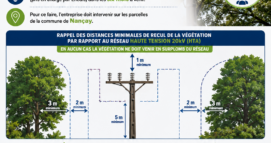 L&rsquo;entreprise NAJHI réalisera des travaux d&rsquo;élagage sur des parcelles à Nançay, pendant les 6 prochains mois