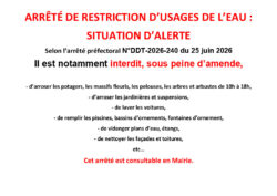 1782397518969-cb8e6ee3-bb9f-4f39-956d-6029721537d7_1