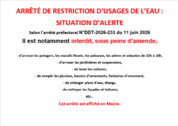 Sans titre