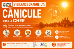 Vigilance orange